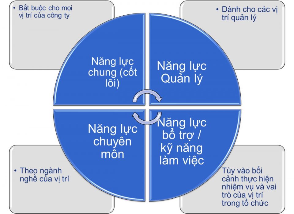 Khung năng lực là gì