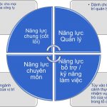 Khung năng lực là gì