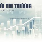 Nghiên cứu thị trường