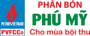 Tư vấn KPI cho Đạm Phú Mỹ