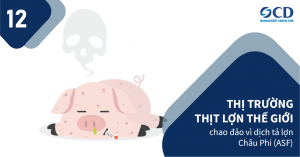 Sự tàn phá của dịch tả lợn châu Phi (ASF) dẫn đến gián đoạn và thiếu hụt nguồn cung nghiêm trọng khiến thị trường thịt lợn đứng trước nguy cơ ''vỡ trận''
