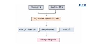 Ví dụ mô hình MBO trong doanh nghiệp