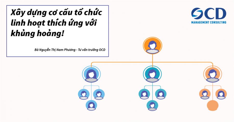 Xây dựng cơ cấu tổ chức linh hoạt thích ứng với khủng hoảng