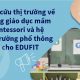 Nghiên cứu thị trường về hệ thống giáo dục mầm non Montessori và hệ thống trường phổ thông liên cấp cho EDUFIT