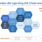 Đãi ngộ tổng thể - Các cấu phần cơ bản