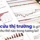 Nghiên cứu thị trường là gì? Nghiên cứu thị trường sẽ thay đổi như thế nào trong tương lai?