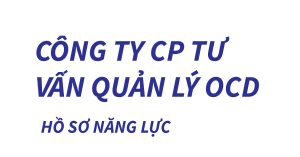 Hồ sơ năng lực tư vấn, OCD Management Consulting, 2020, V01