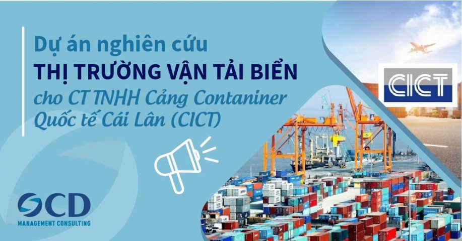 Nghiên cứu, dự báo thị trường cho CICT