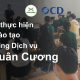 OCD thực hiện đào tạo Marketing Dịch vụ cho Xuân Cương