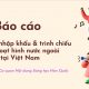 Báo cáo Tình hình nhập khẩu và trình chiếu phim hoạt hình nước ngoài tại Việt Nam