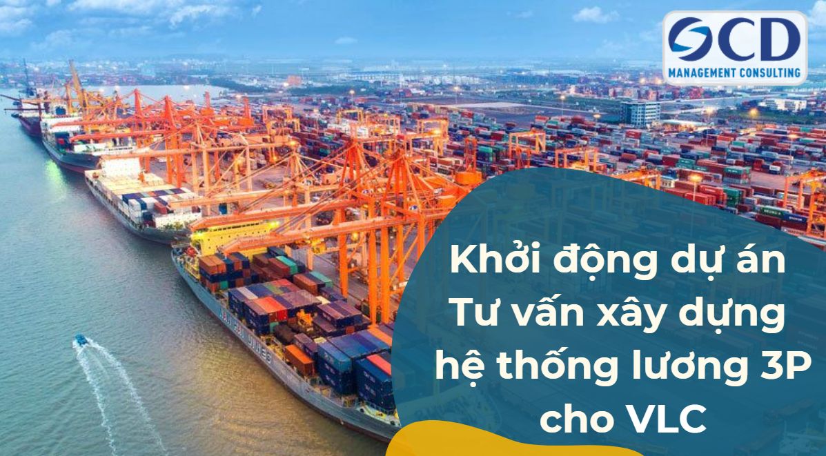 Tư vấn xây dựng hệ thống lương 3P cho Công ty Vận tải biển VIMC