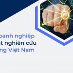 Nhiều doanh nghiệp Hàn, Nhật nghiên cứu thị trường Việt Nam