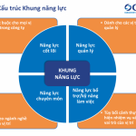 Cấu trúc khung năng lực