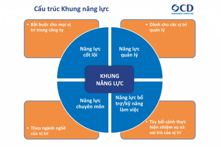 Cấu trúc khung năng lực