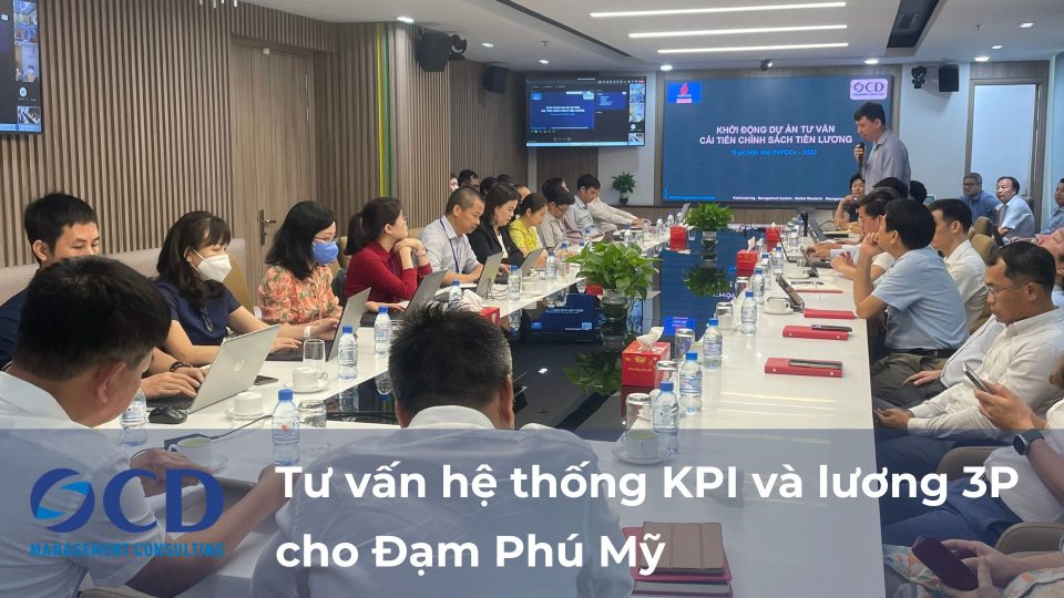 Tư vấn hệ thống KPI và lương 3P cho Đạm Phú Mỹ