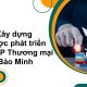 Tư vấn Xây dựng chiến lược phát triển cho CTCP Thương mại quốc tế Bảo Minh