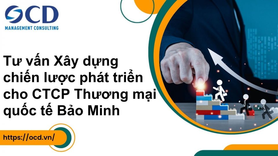 Tư vấn Xây dựng chiến lược phát triển cho CTCP Thương mại quốc tế Bảo Minh