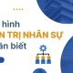 8 mô hình quản trị nhân sự chuyên gia HR nên biết