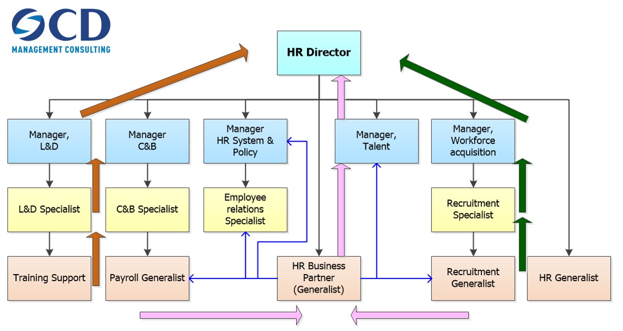 Ví dụ về Career path của nghề nhân sự