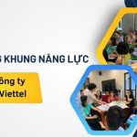 Đào tạo Khung năng lực cho Viettel Telecom
