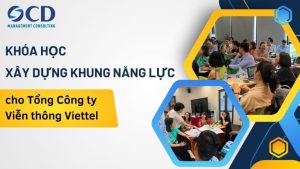 Đào tạo Khung năng lực cho Viettel Telecom
