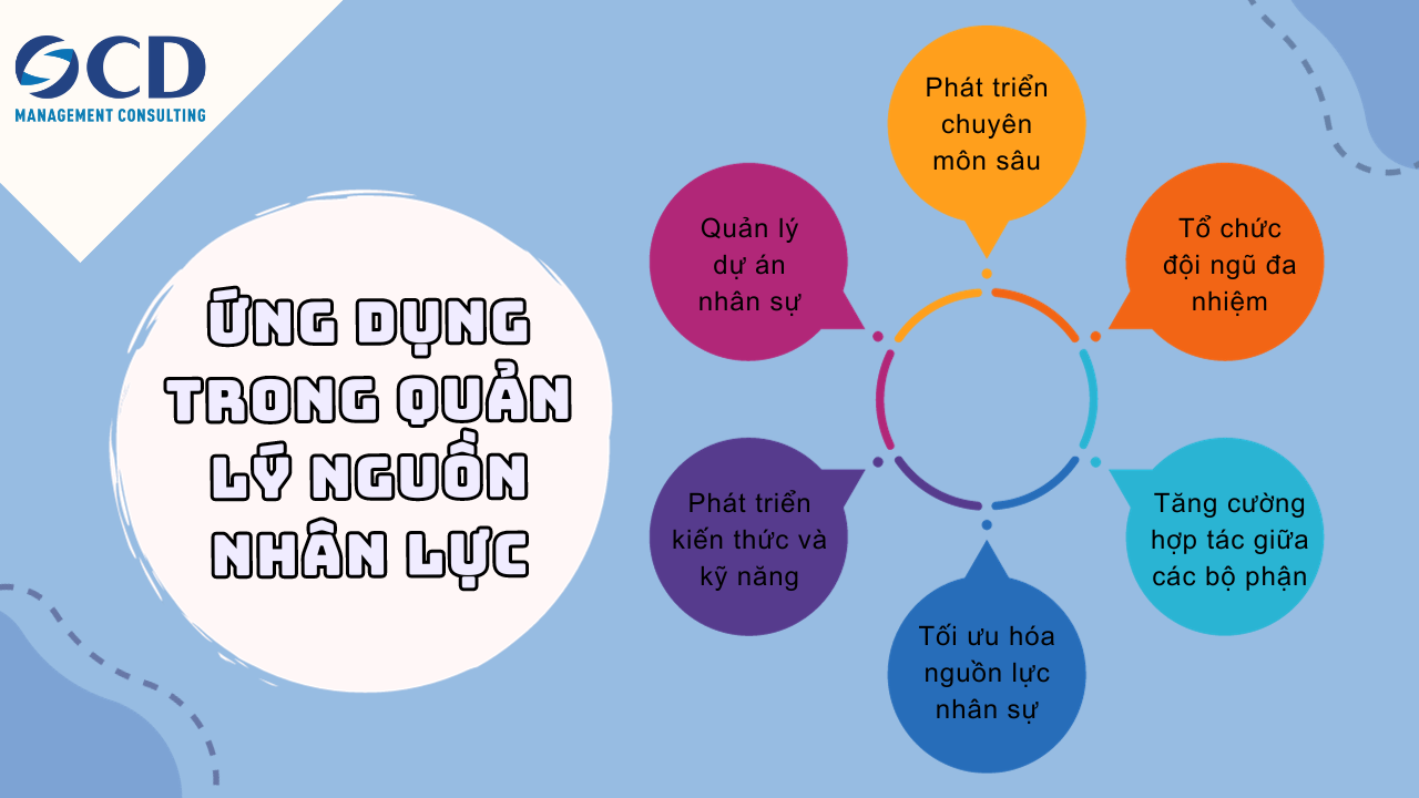 Ứng dụng trong Quản lý nguồn nhân lực