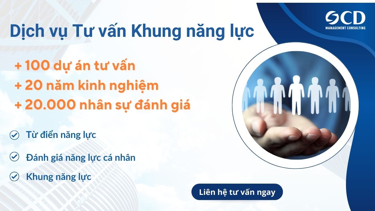 tư vấn khung năng lực