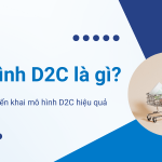 mô hình d2c