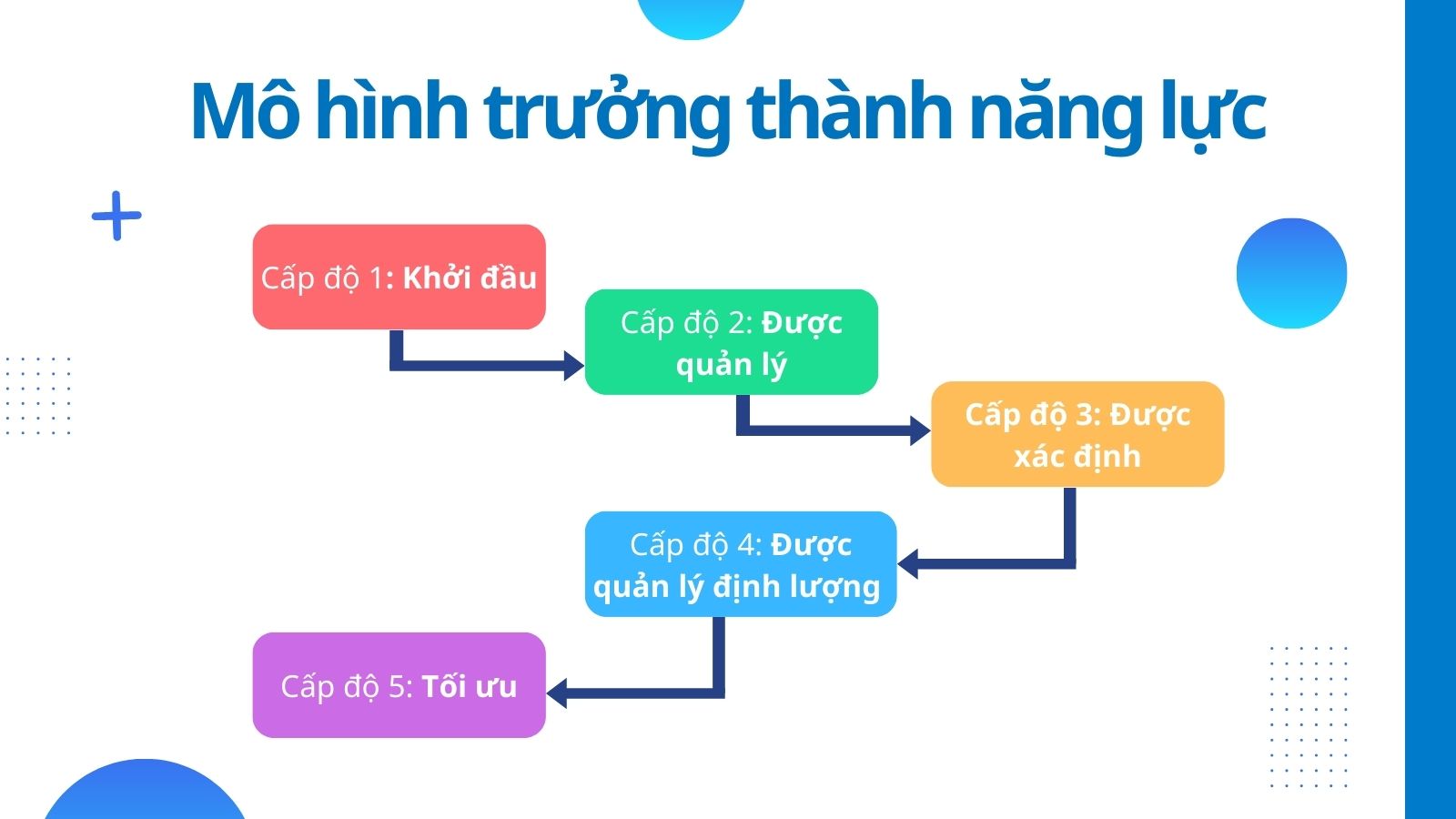 mô hình trưởng thành năng lực