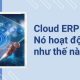 cloud erp