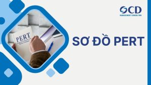 sơ đồ pert
