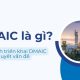 dmaic là gì