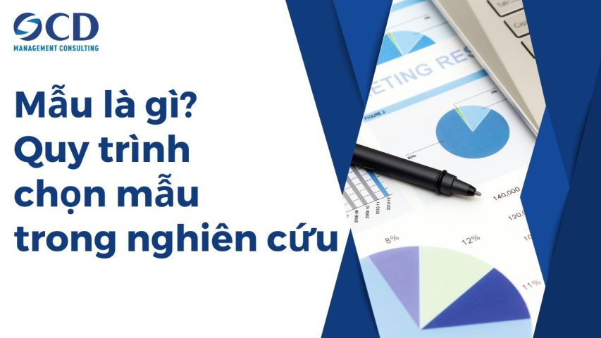 Mẫu là gì? Quy trình chọn mẫu trong nghiên cứu