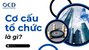 cơ cấu tổ chức là gì