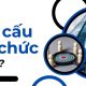 cơ cấu tổ chức là gì
