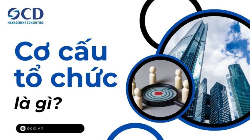 cơ cấu tổ chức là gì