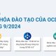 khai giảng các khóa đào tạo của ocd tháng 9 2024