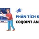 Phân tích kết hợp là gì? Các loại hình phân tích kết hợp