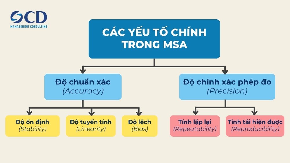 các yếu tố chính trong msa