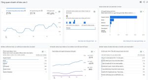 Báo cáo tổng quan website của Google Analytics 4 (GA4)