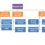 Sơ đồ tổ chức sử dụng sơ đồ cây (tree diagram)