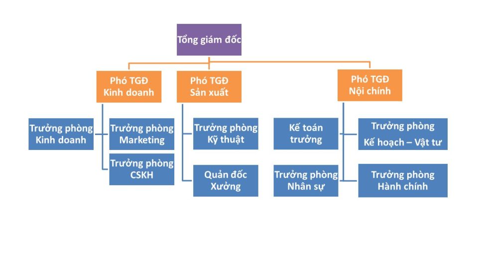 Sơ đồ tổ chức sử dụng sơ đồ cây (tree diagram)