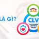 CLV là gì? Công thức tính giá trị vòng đời khách hàng