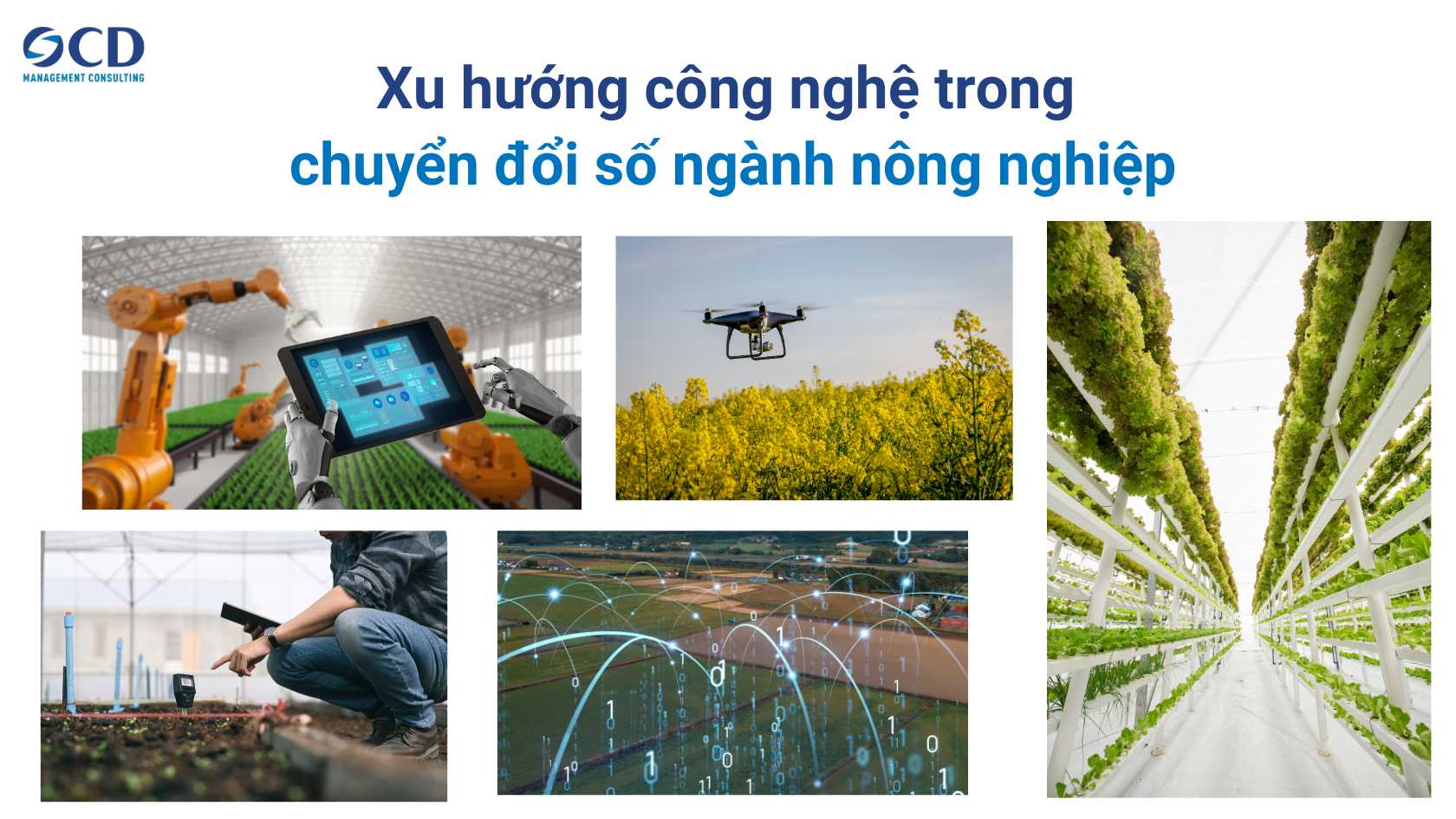 xu hướng chuyển đổi số nông nghiệp