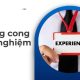 đường cong kinh nghiệm là gì