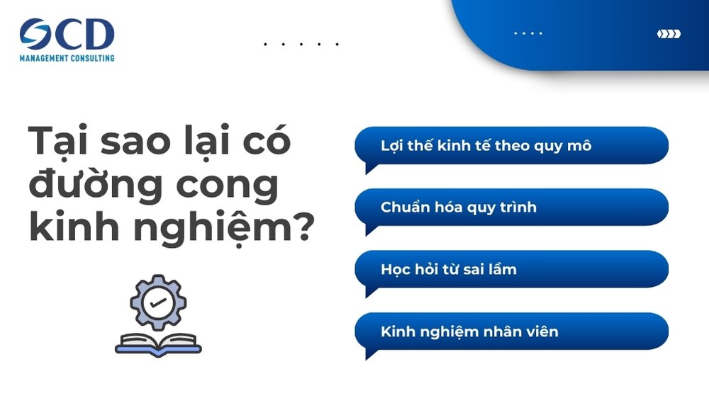 tại sao lại có đường cong kinh nghiệm