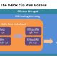 Mô hình The 8-Box của Paul Boselie