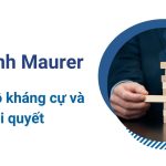 mô hình maurer