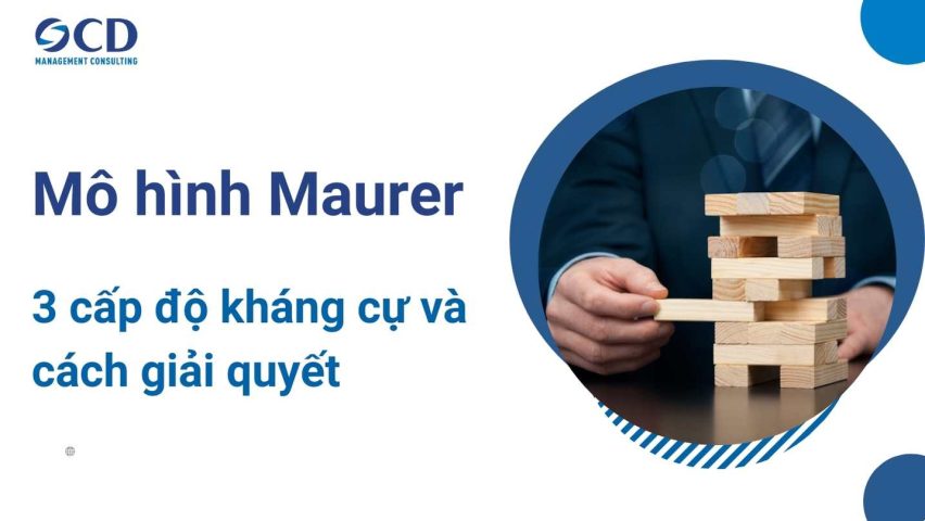 mô hình maurer