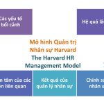 Mô hình Quản trị Nhân sự Harvard